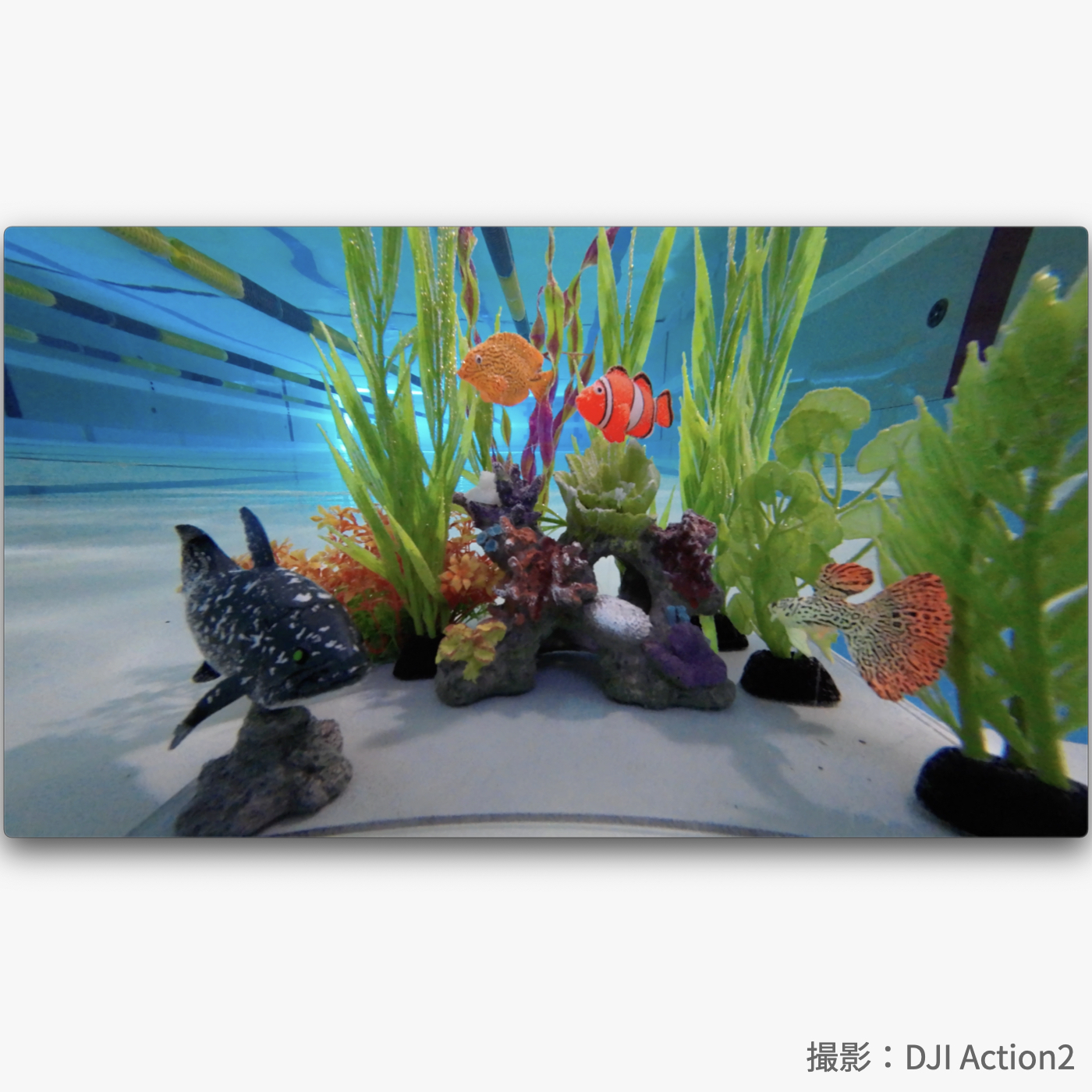 Action 2 Dual-Screenコンボ 6