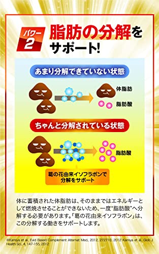 脂肪減少源EX 5