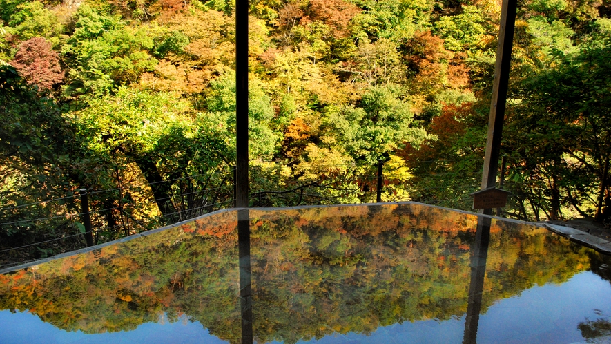 会津芦ノ牧温泉 大川荘 7