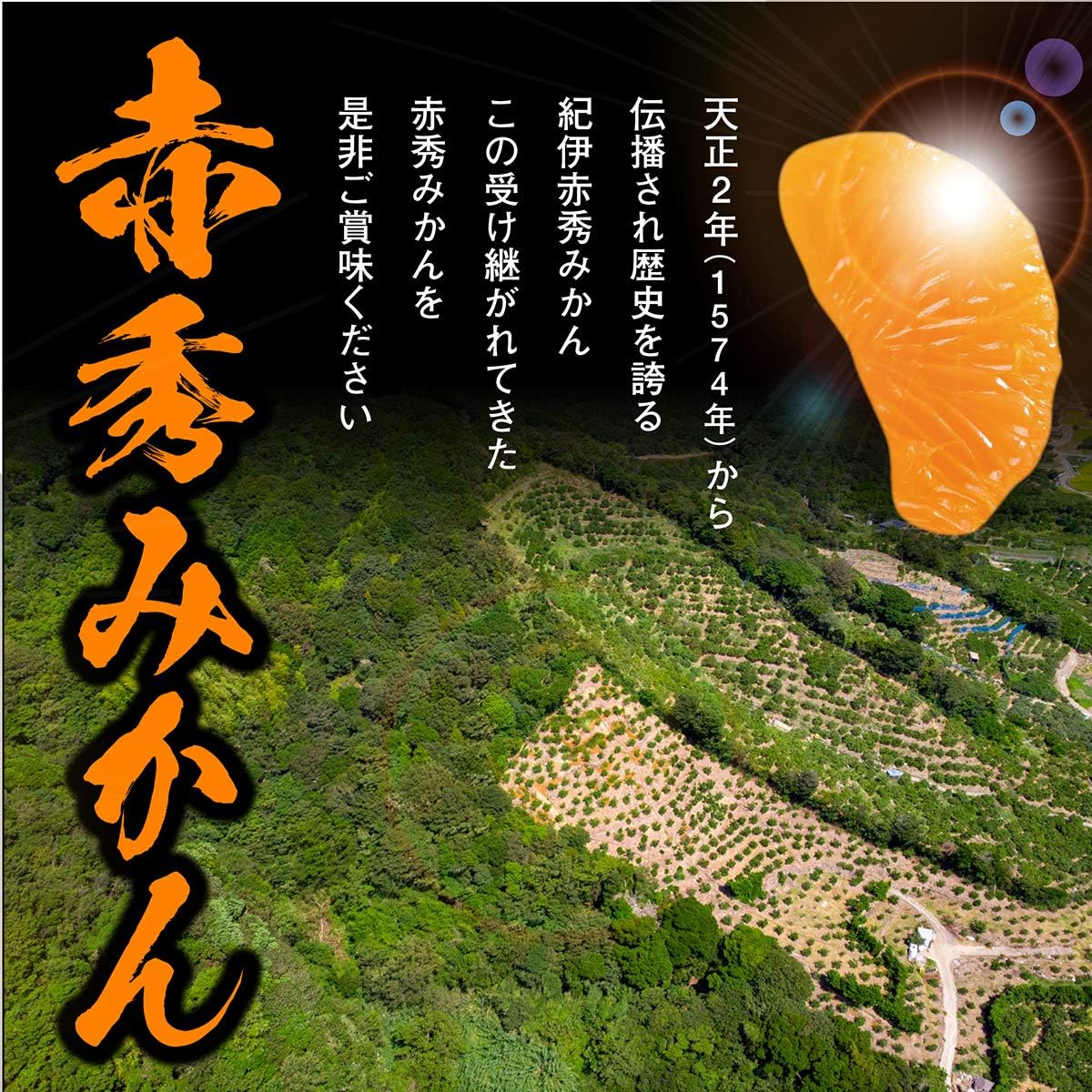 赤秀みかん 小粒 3