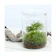 チャーム 苔Terrarium 1