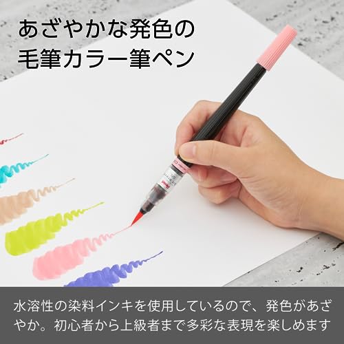 コーラルピンク 2