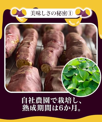 熟成冷やし焼き芋 3