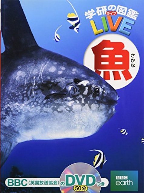 21年 魚図鑑のおすすめ人気ランキング15選 Mybest 21年 魚図鑑のおすすめ人気ランキング15選 Mybest