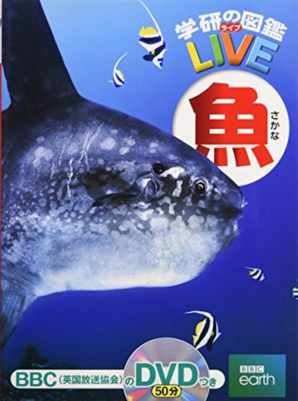 22年 魚図鑑のおすすめ人気ランキング15選 Mybest 22年 魚図鑑のおすすめ人気ランキング15選 Mybest