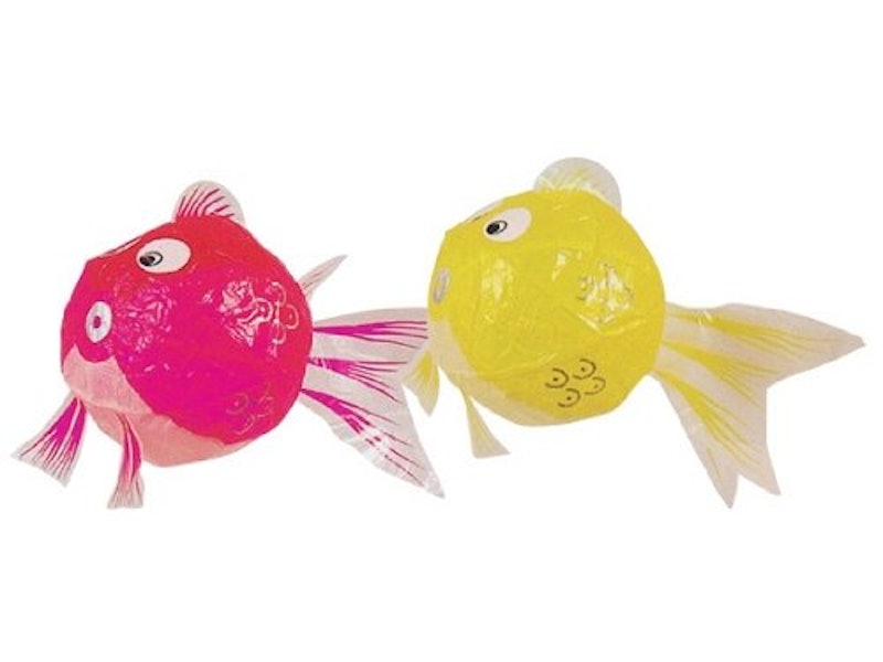金魚 1
