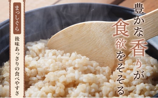まっしぐら 玄米 2