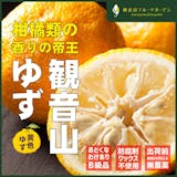 柚子のおすすめ人気ランキング【種類別特徴も紹介!2026年10月】 3
