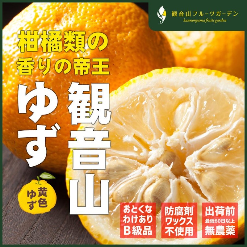 観音山ゆず 1