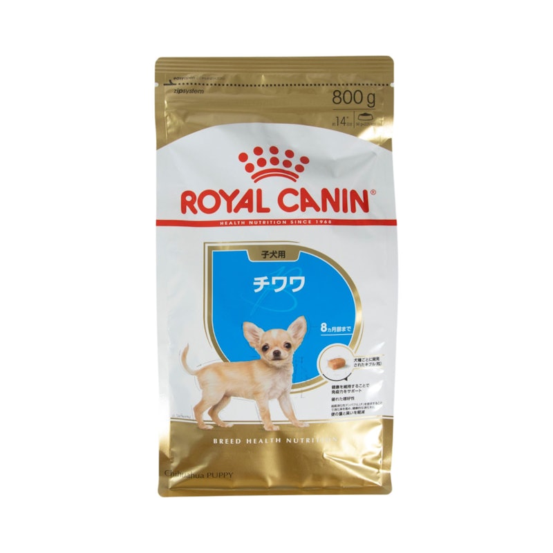 チワワ 子犬用 1