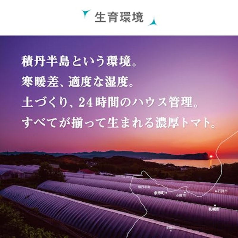 トマトジュース 9