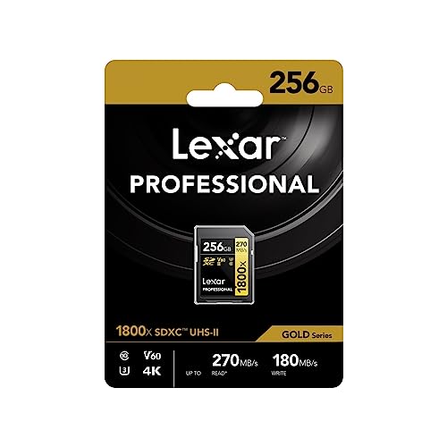 Professional SDXCカード 2