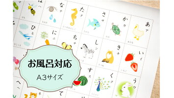 お風呂ポスター「あいうえお表」ひらがな表 4
