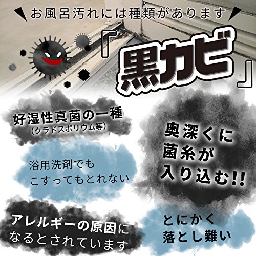 GN黒カビくん 目地研磨ブラシ 2