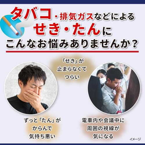 ダスモック SPa 2
