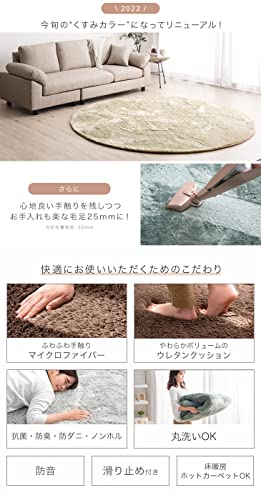 洗えるシャギーラグ 3