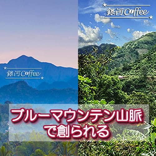 ブルーマウンテン No1  4