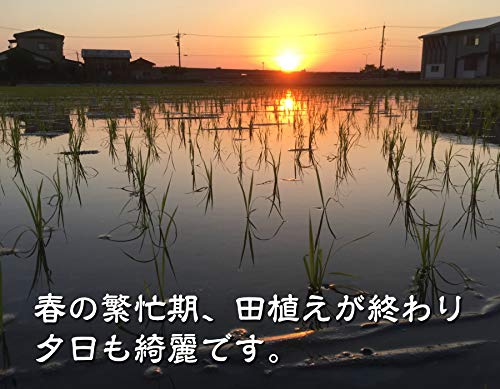 EM農法有機栽培米 土の詩 7