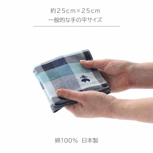 表ガーゼ地裏タオルハンカチ 6