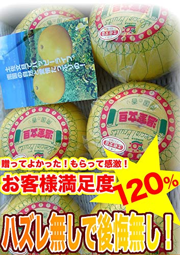 ハウス文旦 高知産 2