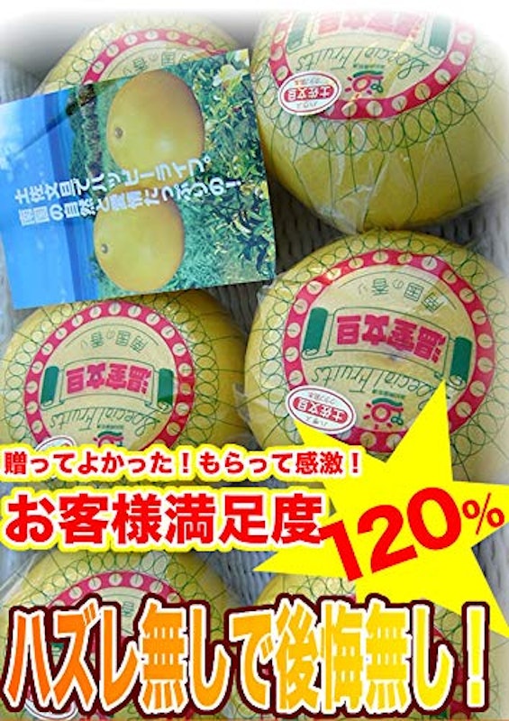 ハウス文旦 高知産 2