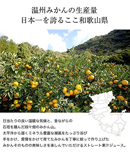 紀州果実しぼりジュース 3