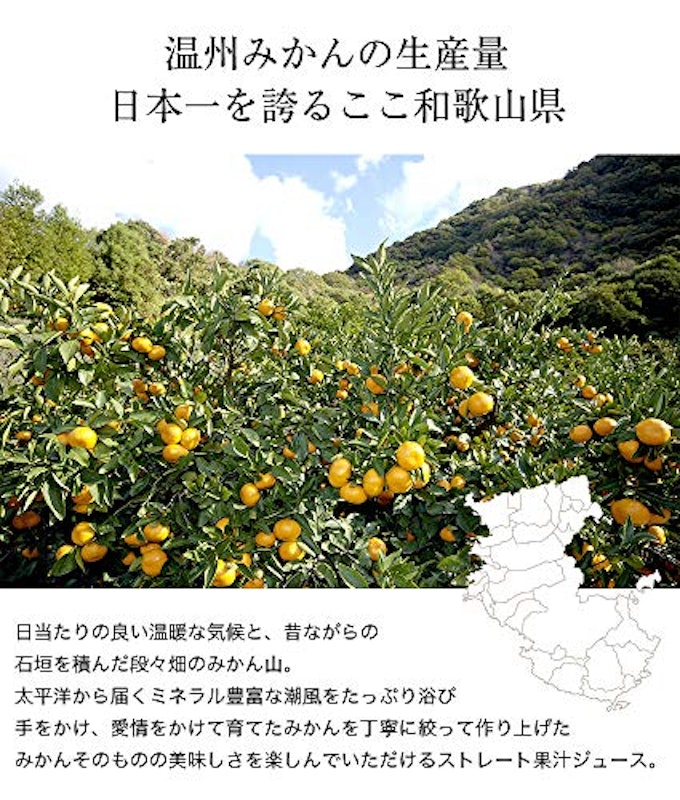 紀州果実しぼりジュース 3