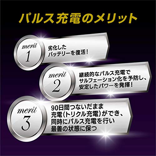 セレクト式自動パルス充電器 4