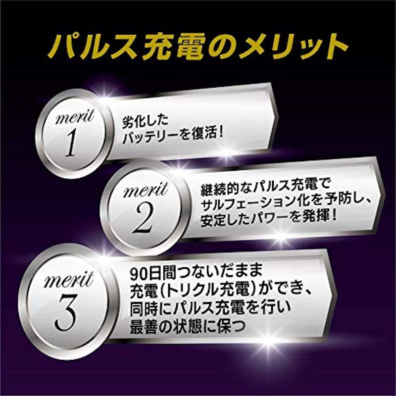 セレクト式自動パルス充電器 4