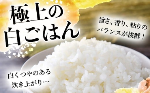 つや姫 無洗米 2