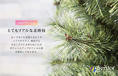 Spruce ヨーロッパトウヒツリー 3