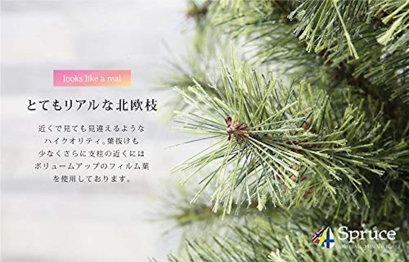 Spruce ヨーロッパトウヒツリー 3