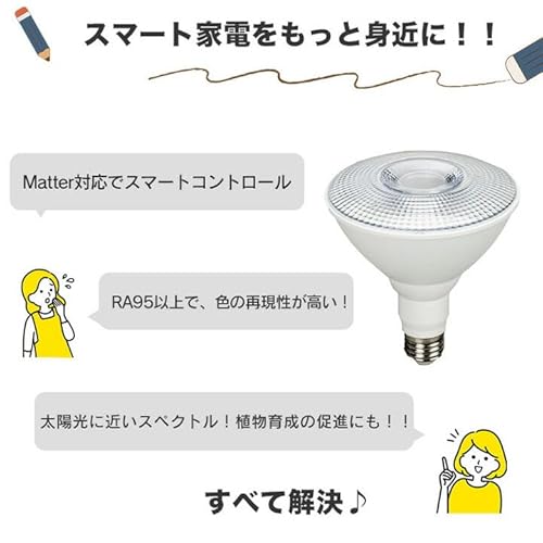 スマートLED電球 2