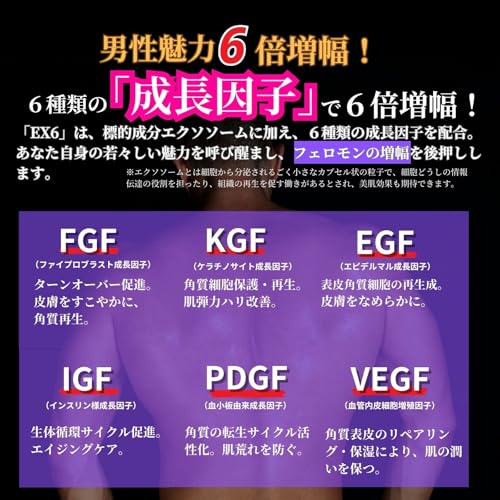 EX6エグゼックス 6