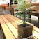 euro plants studio テーブルヤシ ハイドロカルチャーアレンジ 1