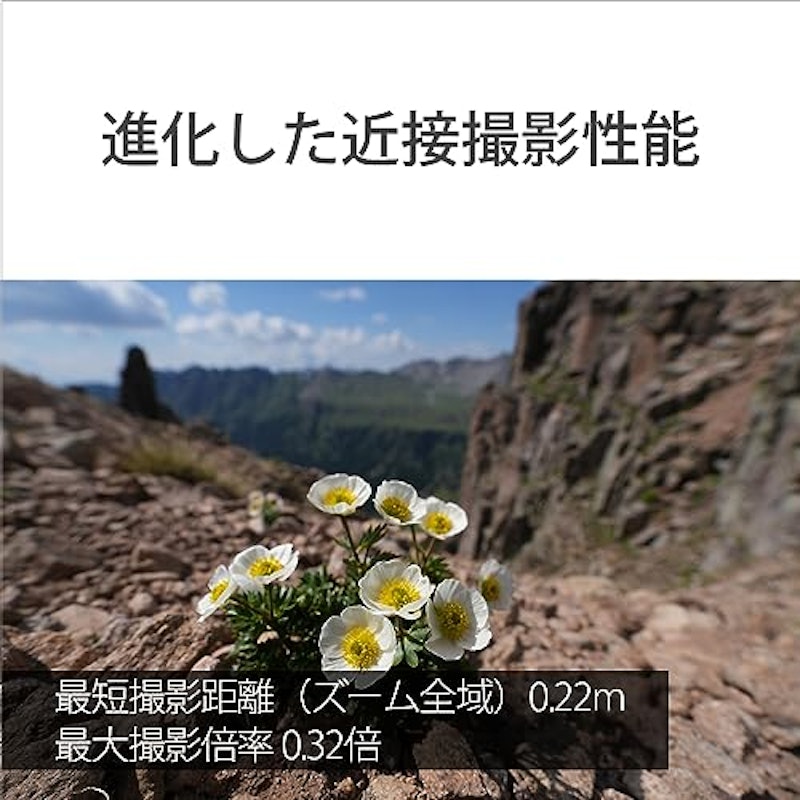 FE 16-35mm F2.8 GM II 7