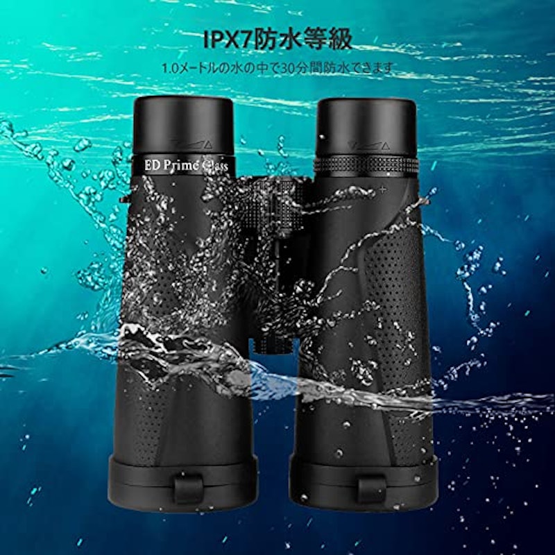 双眼鏡 4