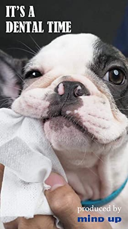 犬口ケア 歯磨きウェットシート 2