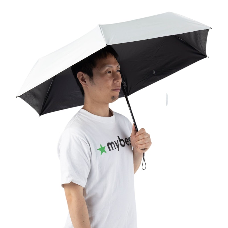 カルオート UVブロック 折 55cm 9
