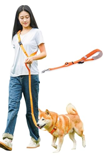 犬用リードのおすすめ人気ランキング【2026年10月】 | マイベスト