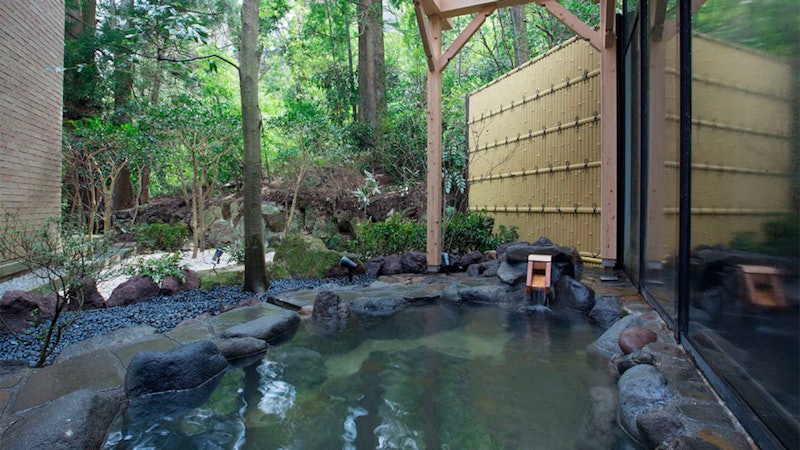 箱根小涌園 美山楓林 5