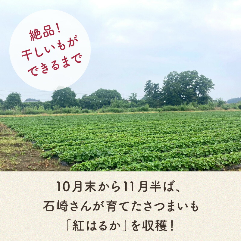 丸干し 干しいも 3