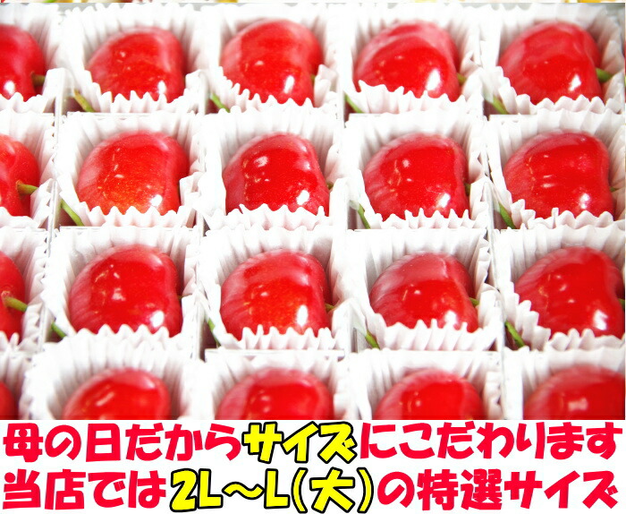 さくらんぼ 2