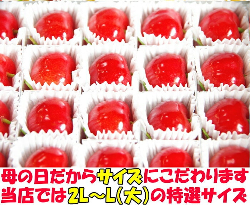 さくらんぼ 2