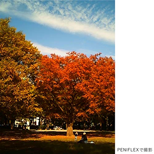 トイカメラ PIENIFLEX 8