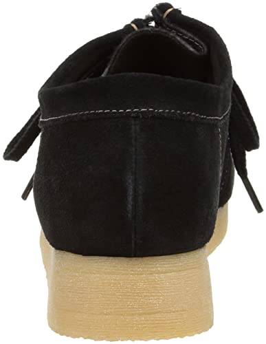 パドモラ 3
