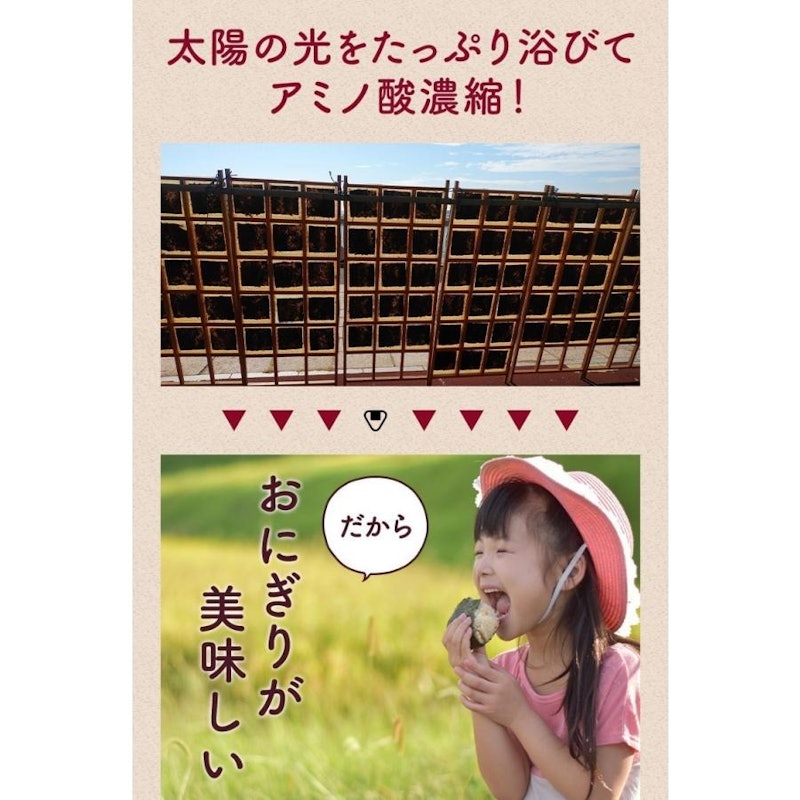 焼き海苔 4