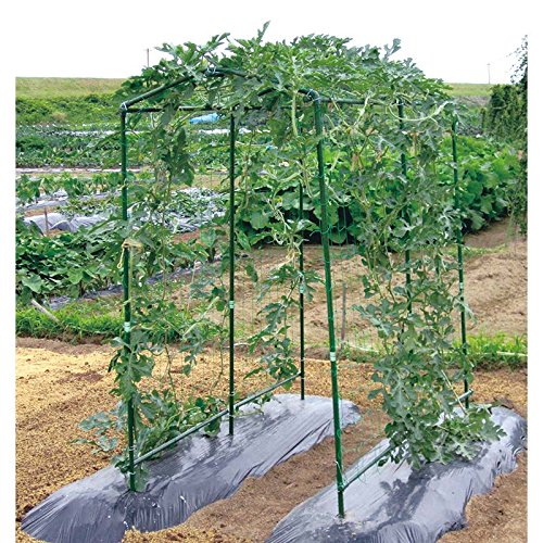 ガーデニング用支柱のおすすめ人気ランキング【2026年2月】 | マイベスト