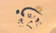 null 鰻のきくち 1