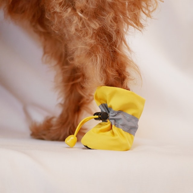 犬用靴 靴下のおすすめ人気ランキング15選 おしゃれで実用性も Mybest 犬用靴 靴下のおすすめ人気ランキング15選 おしゃれで実用性も Mybest